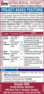 Jobs in Khyber Medical University KMU